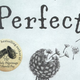 Image for article titled Rachel Joyce’s Perfect follows two tragic tales separated by 40 years